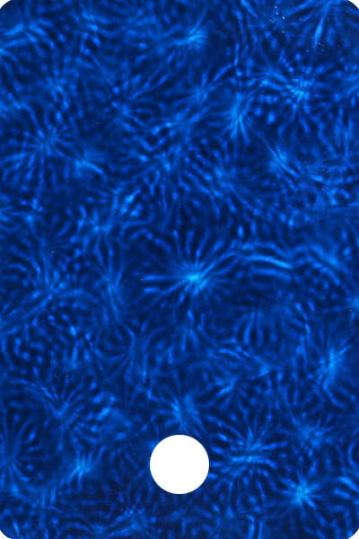 YLA6BA504